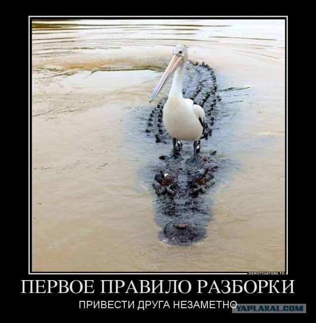 Картинки для поднятия настроения в понедельник