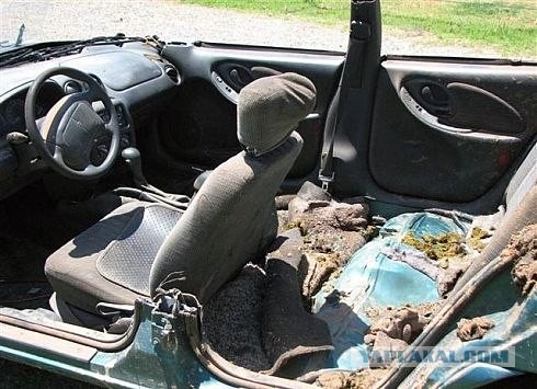 Не стоит покупать машину б/у