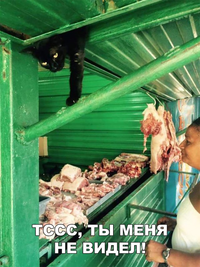Нестандартный юмор