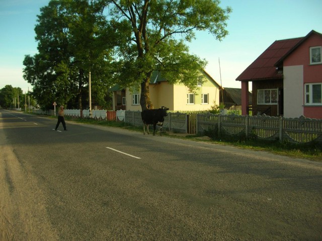 Белорусские просторы