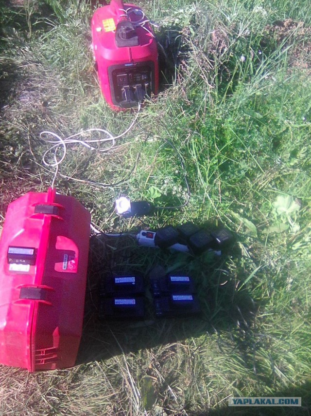 Командировка. В леса