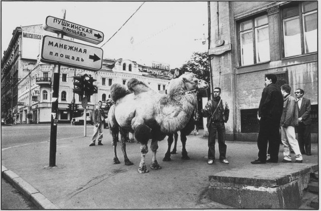История в фотографиях
