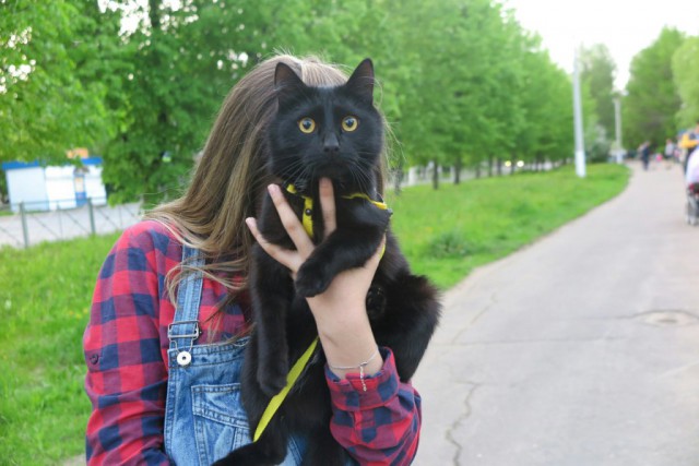 Живность из сети