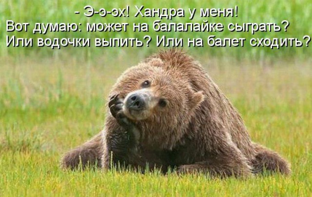Стырнета