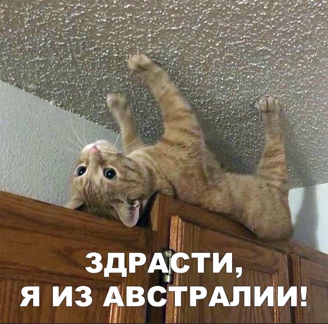Нестандартный юмор