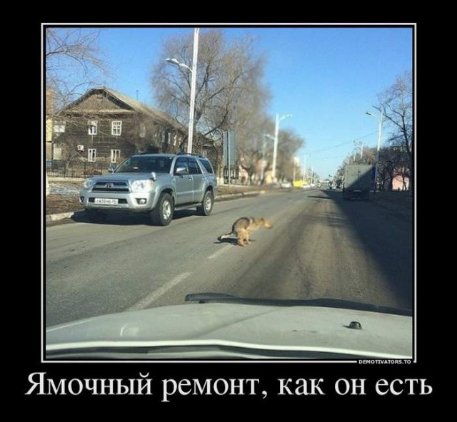 Свежее изобретение Сколково