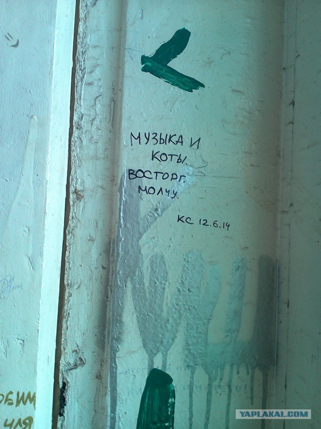 Асфальт, стены, заборы... Так пить или жить?