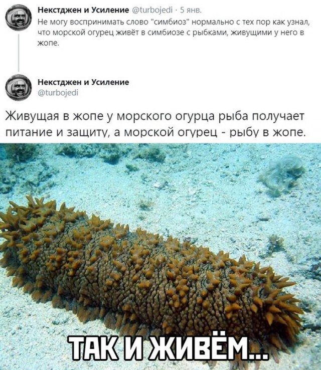 Кретинки 09.01.20