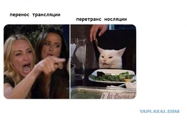 Большое выступление Путина по ситуации с коронавирусом. Прямая трансляция