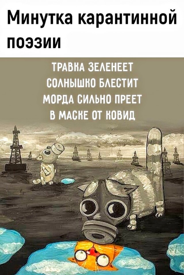 Немного картинок для настроения 18.05.20