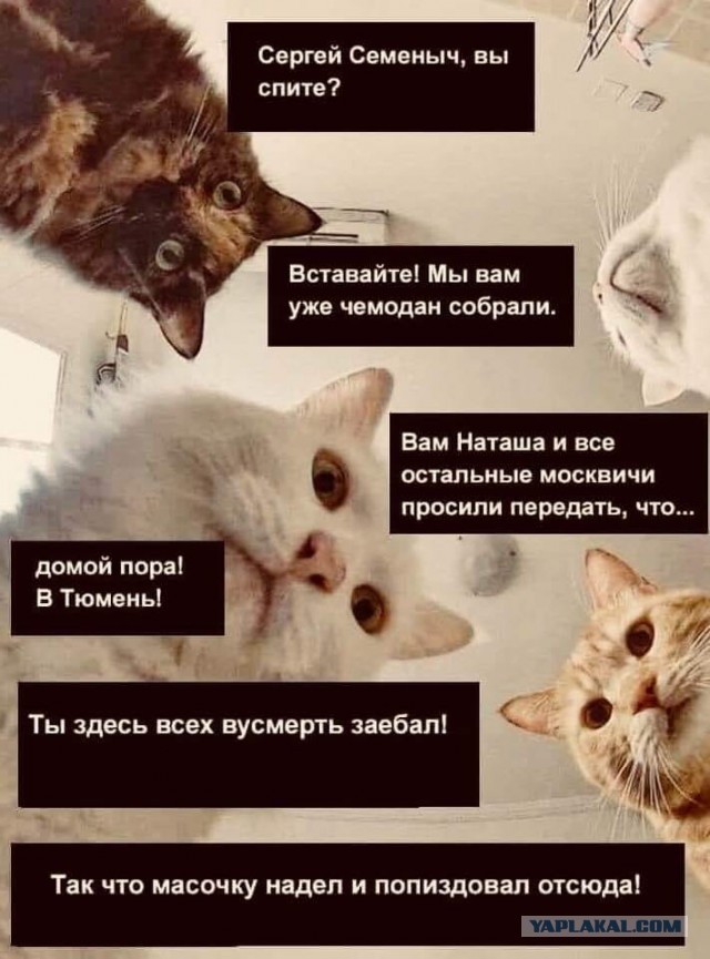 Пандемия. Коронавирус. Россия и мир. Последняя информация. Часть 16