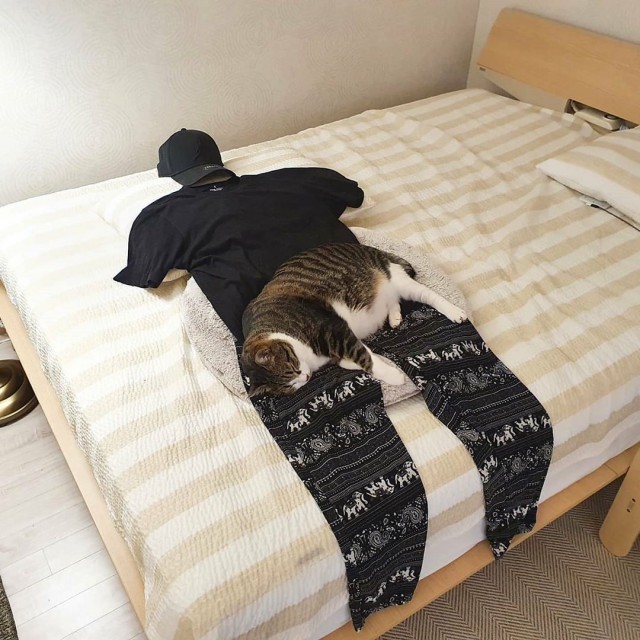 Эти забавные животные