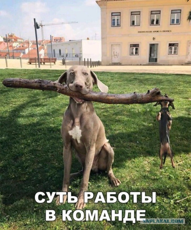 Веселые истории о нас №155