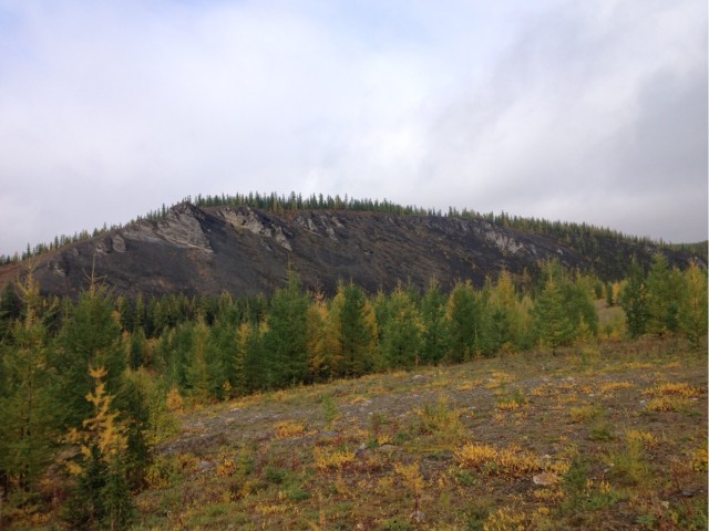 Где-то на Урале лес заменяет людям небо