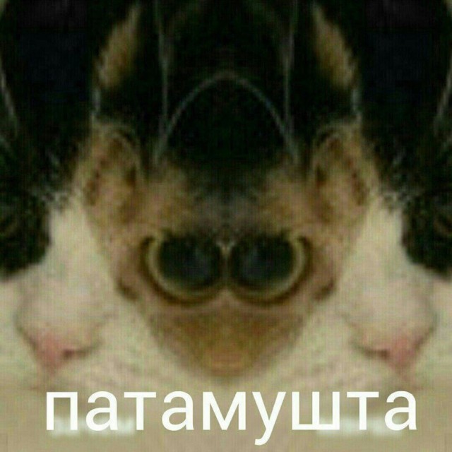 У нас ЧП