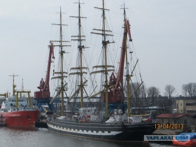 Летающий по волнам. Барк «Крузенштерн».