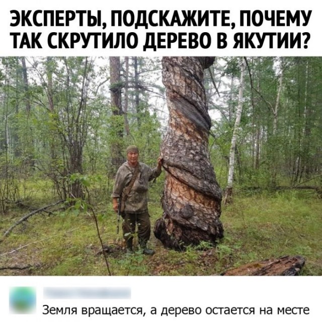 Картинки и мемы для настроения 03.12.2020
