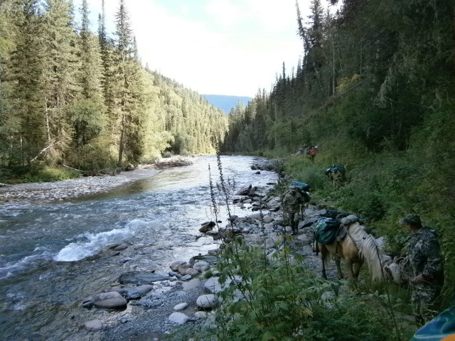 На конягах по Алтаю