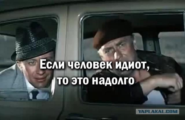 Немного об иваси