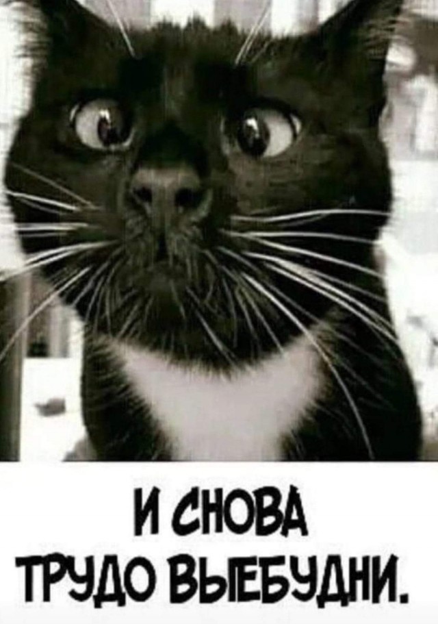 Интимная тема. Про неё