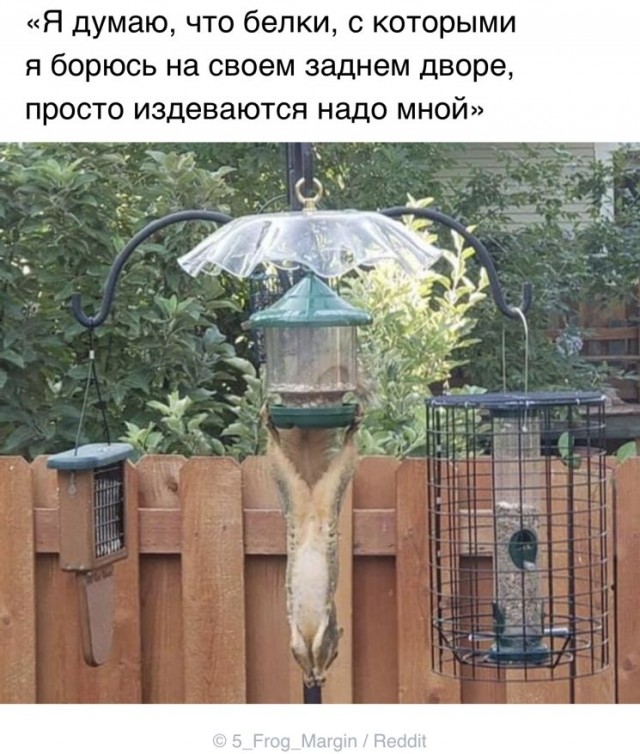 Картинки и мемы для настроения 30.09.2021