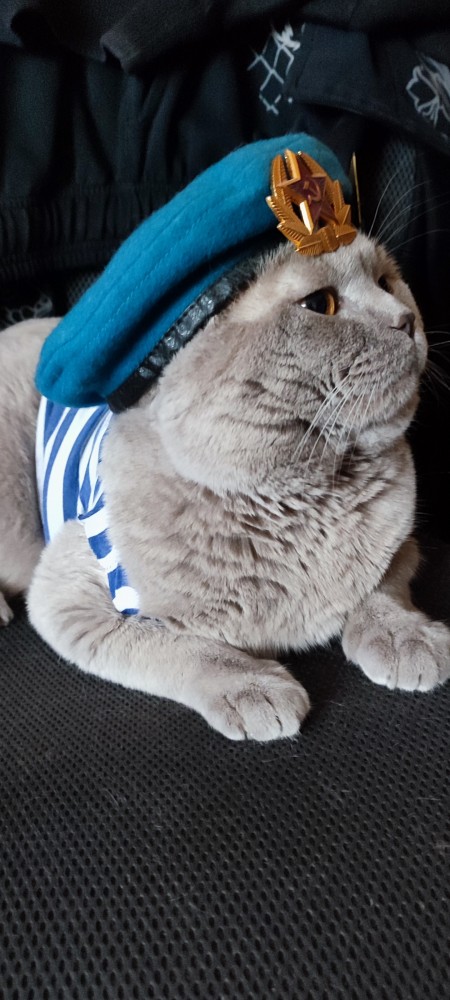 Взял погреть на ночь