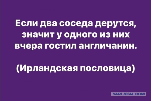 Верните наши самолеты!