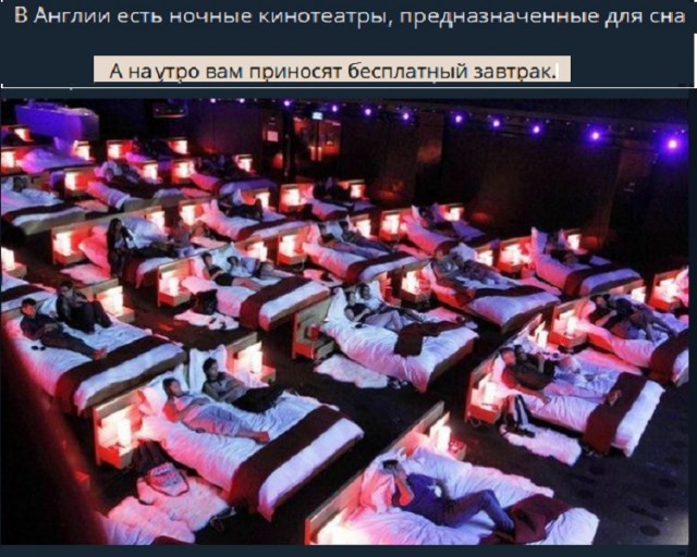 Картинки с надписями и всякие жизненные фразы