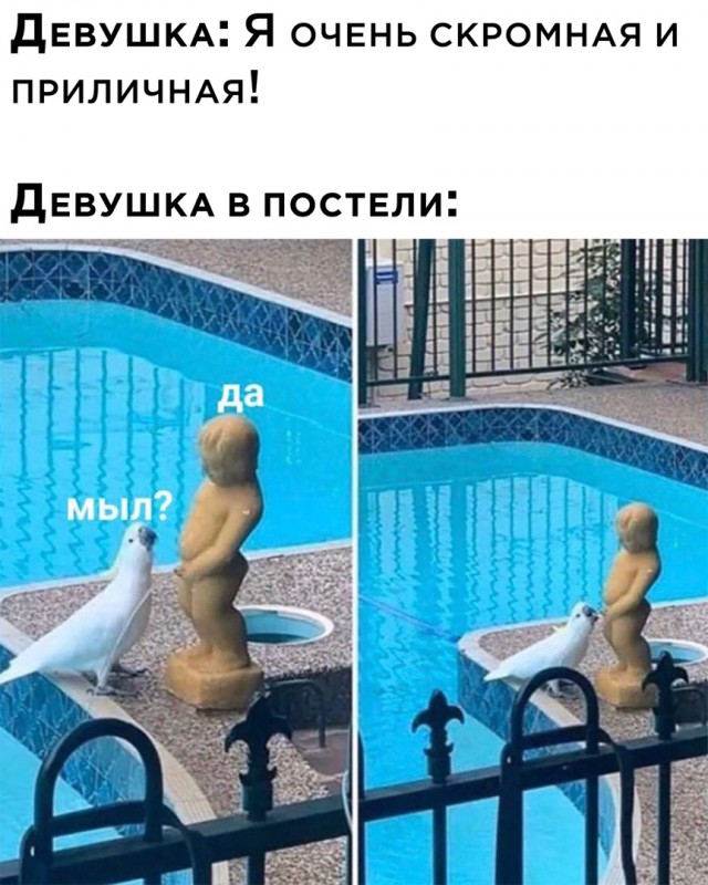 Картинки с комментариями 06.05.22