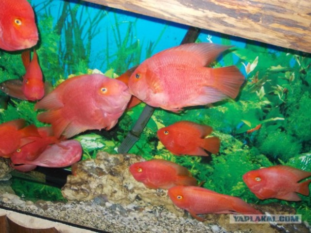 Велопутешествие по Крыму