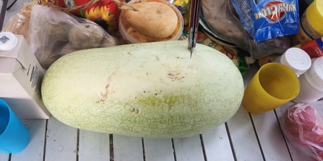 Фишт