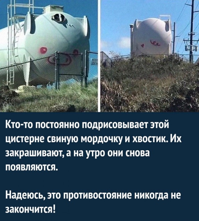 Картинки и мемы, всем хороших выходных