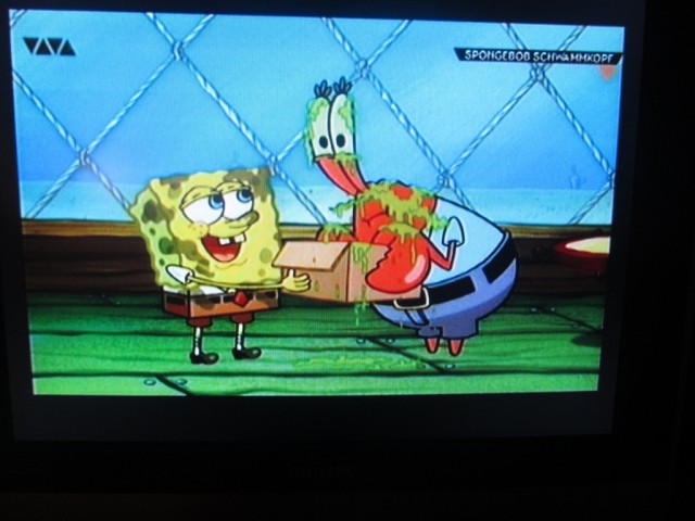 Мечты сбываются