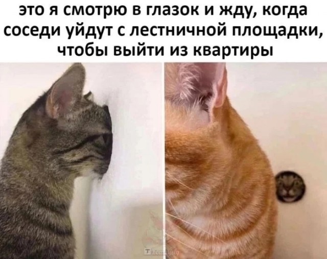 Немного картинок для настроения - 129
