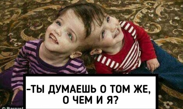 Немного аморального юмора