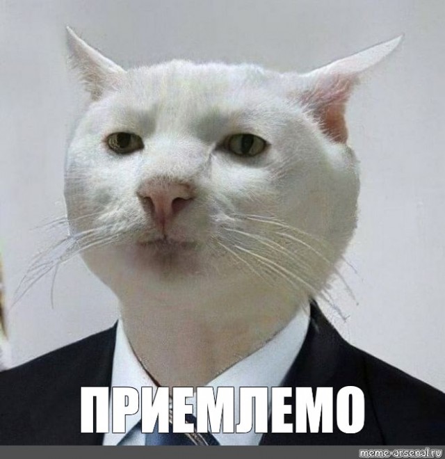 Путин: «Наша цель — закончить войну»