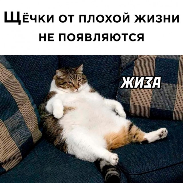 Картинки и мемы. Выходные близко...