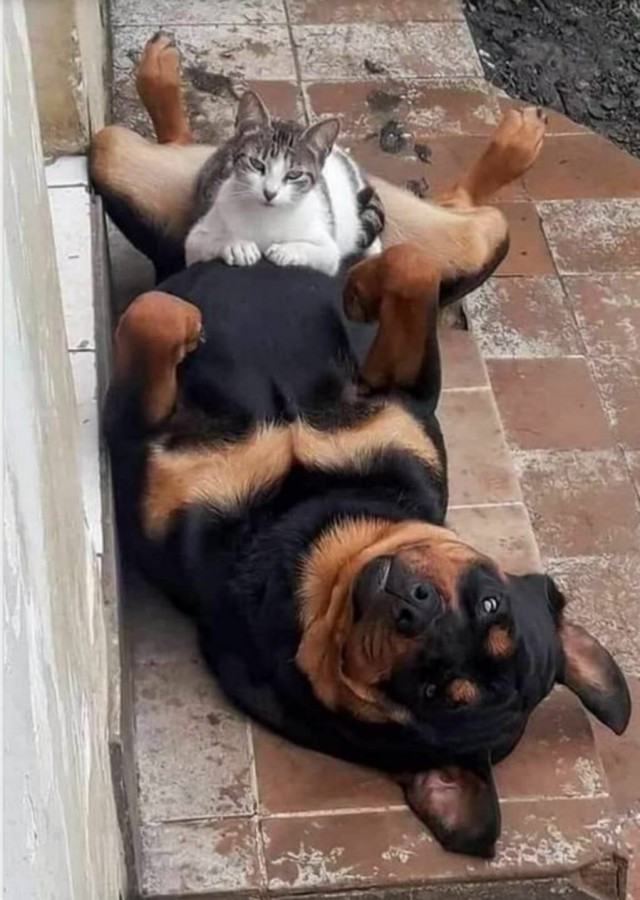 Подборка интересных и прикольных фото из Сети 08.01.23