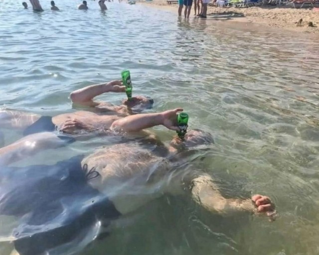 Советский и российский подводный флот в фотографиях