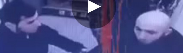 Бородатые дети очень любят сладкое