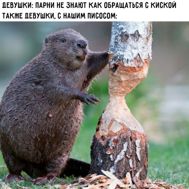 Немного картинок для настроения - 177