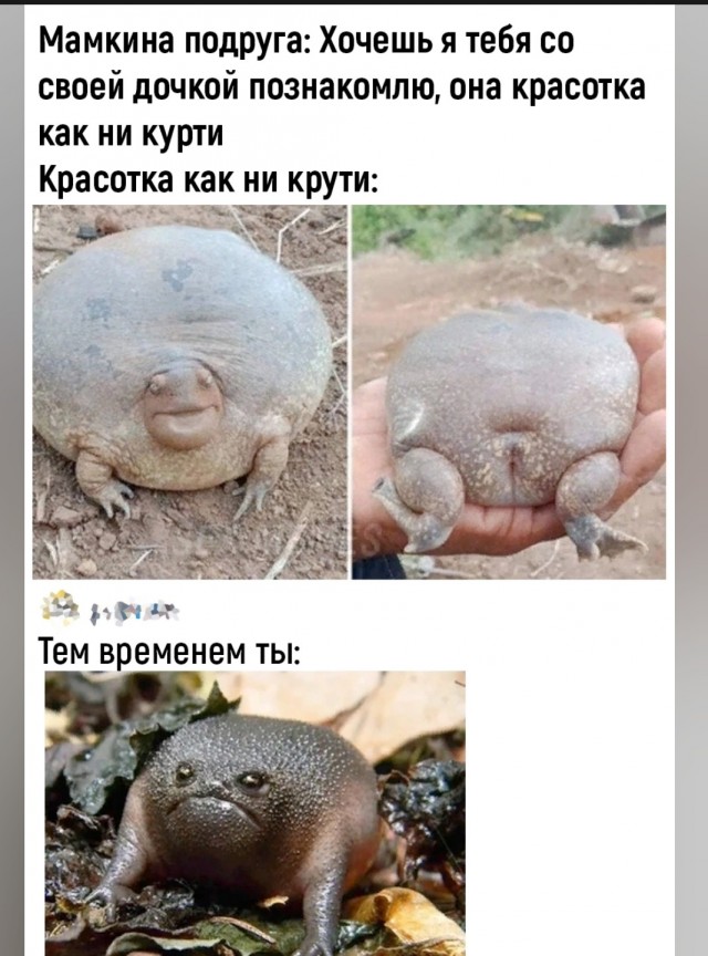 Дохлый женский аргумент: они свято верят, что они нужны мужчинам ради уюта