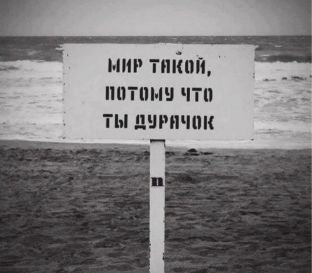 Так себе картинки 07.12.23