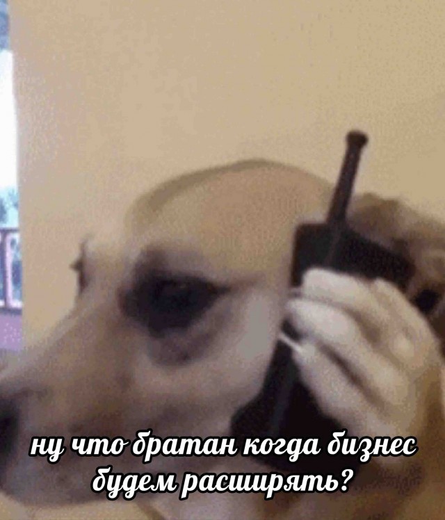 Игра районов