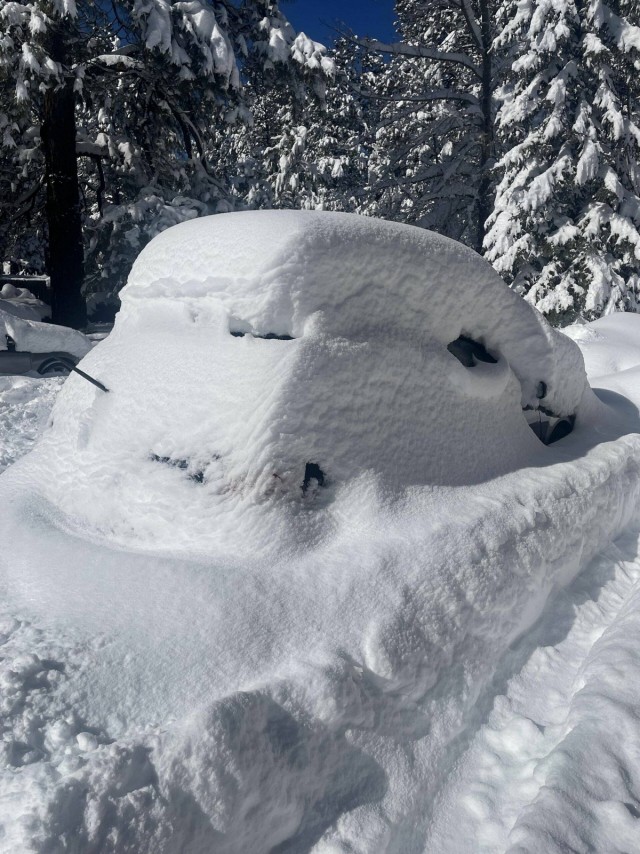 Подборка интересных и веселых картинок 12.02.24