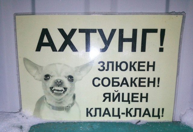Шпрехен зи дойч?