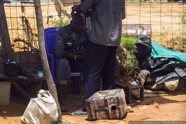 Только крокодилы спасут эту страну от мудаков!