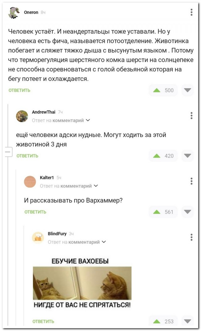 Забавные комментарии из социальных сетей (28.05.24)