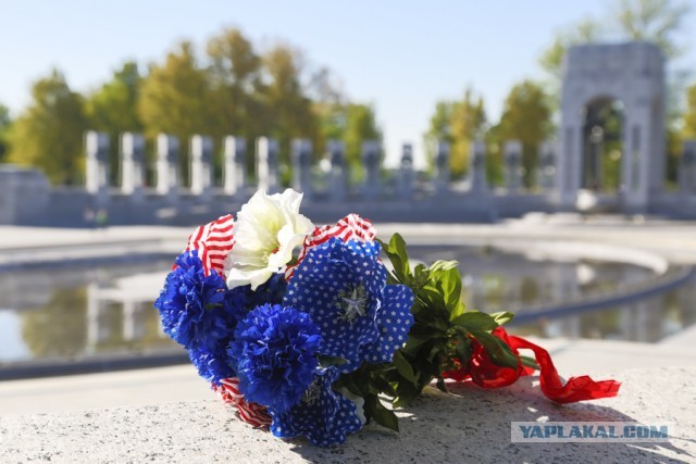 Моя Америка