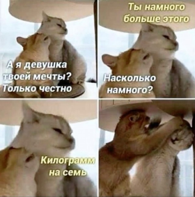 Завалялось тут случайно немного забавных картинок